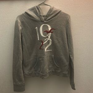 Hollister medium hoodie